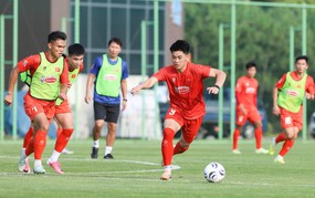 Tin nóng bóng đá Việt hôm nay 4/7: Đội tuyển Việt Nam lắp ghép đội hình; Ninh Bình FC công bố hai tân binh