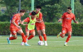 Báo Hàn: HLV Kim Sang Sik cùng đội tuyển Việt Nam hướng tới cột mốc chưa từng có