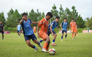 VCK giải U17 QG – Cúp Rồng Đỏ 2026: SHB Đà Nẵng và Huế vào bán kết