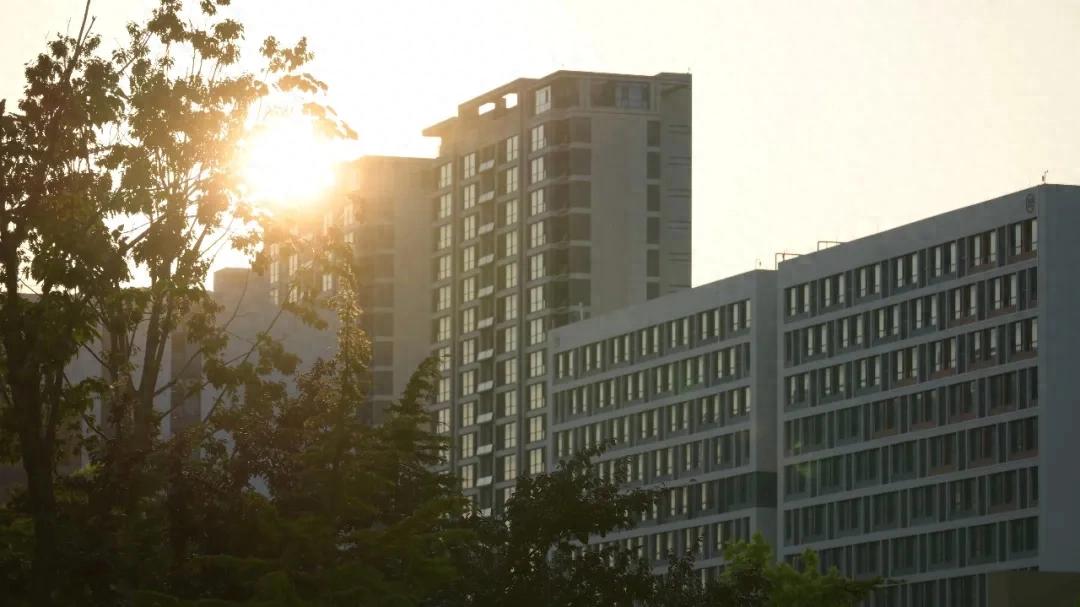 Một nhóm những người làm giáo dục nghề nghiệp mang trong mình gen bóng đá đã âm thầm làm nên một việc lớn.