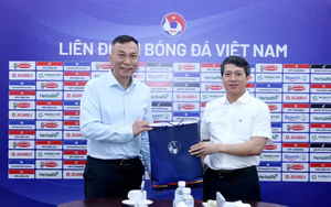 VFF và Cục Cảnh sát hình sự tăng cường phối hợp phòng, chống tiêu cực trong bóng đá